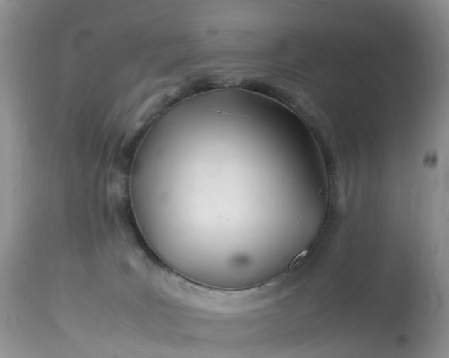 X0000113090035200909111038