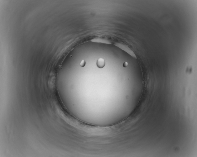X0000113090036200909111038