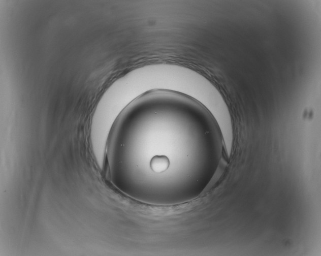 X0000113090037200909111038