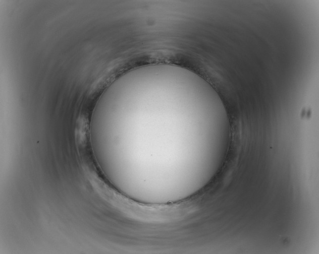 X0000113090038200909111038