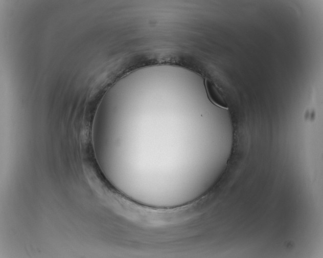 X0000113090039200909111038