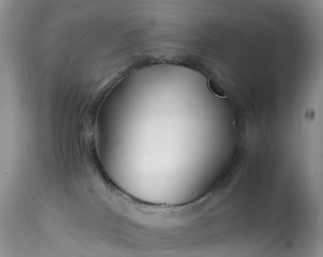 X0000113090040200909111037