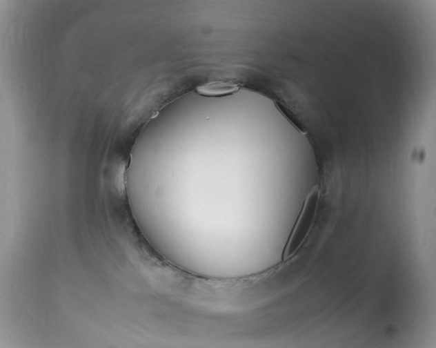 X0000113090041200909111037