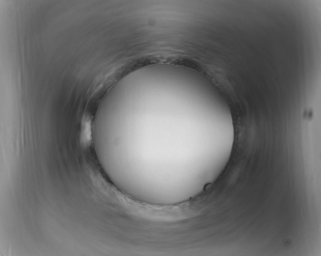X0000113090042200909111037