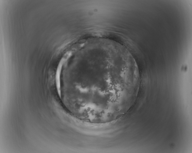 X0000113090043200909111037