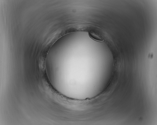 X0000113090044200909111037