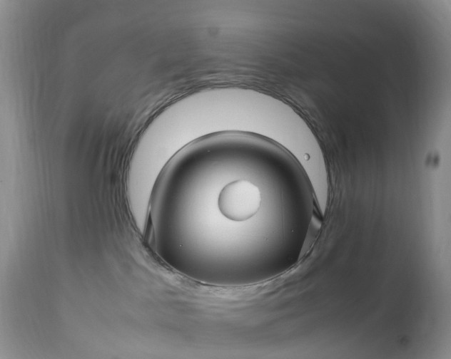 X0000113090045200909111037