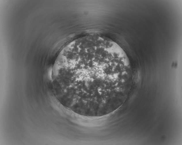 X0000113090047200909111037