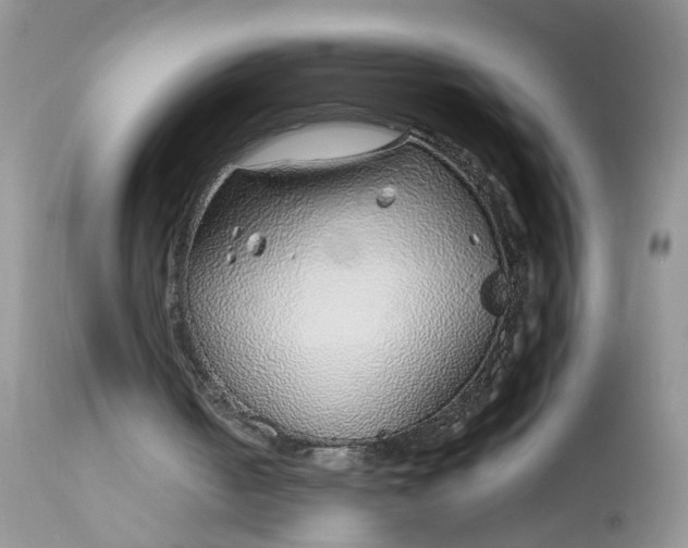 X0000113090050200909111037