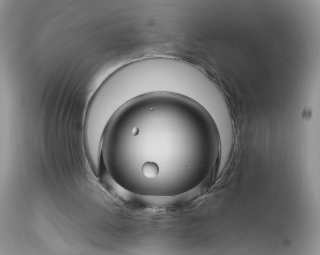 X0000113090052200909111037