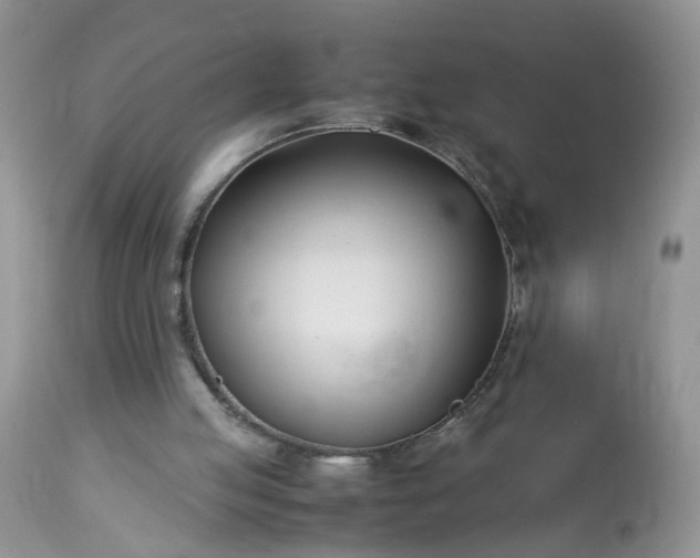 X0000113090053200909111037