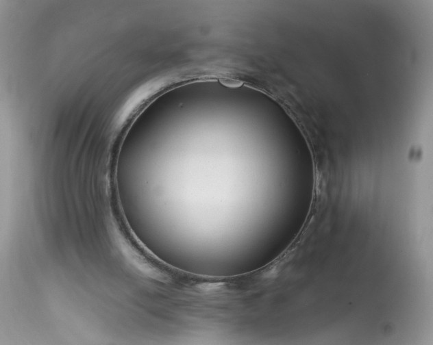 X0000113090054200909111037
