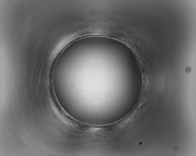 X0000113090055200909111037