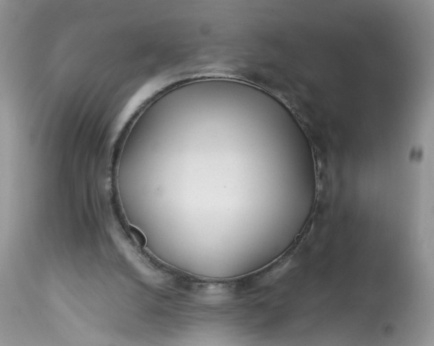 X0000113090056200909111037