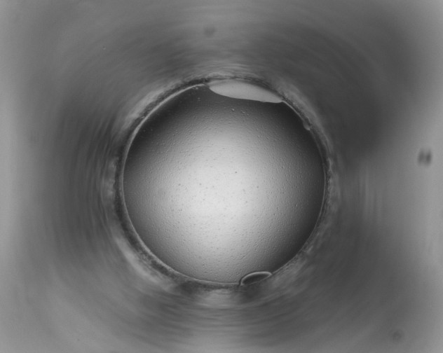 X0000113090058200909111037