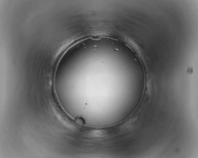 X0000113090059200909111037