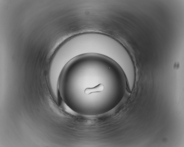 X0000113090060200909111037