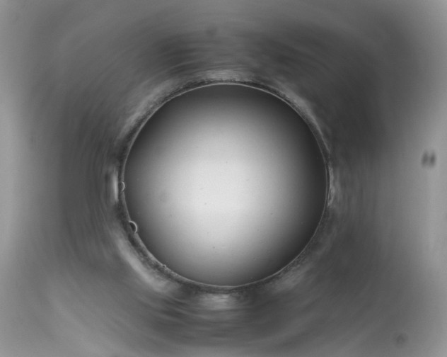 X0000113090061200909111037