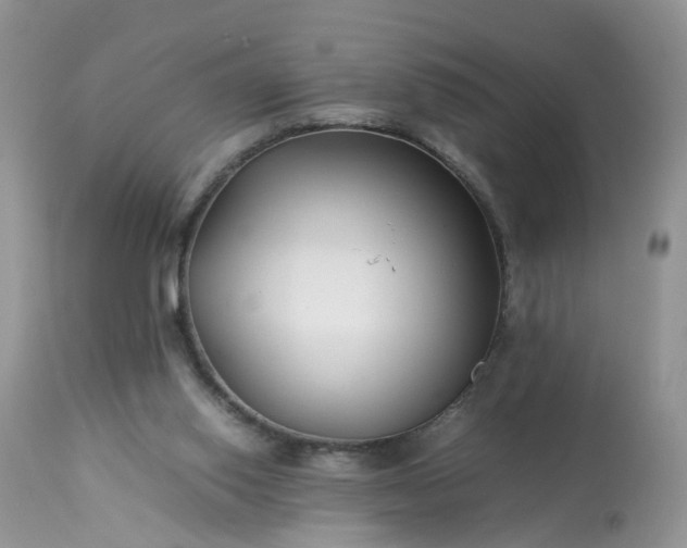 X0000113090062200909111037
