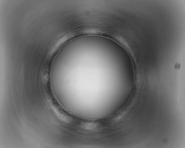 X0000113090063200909111037