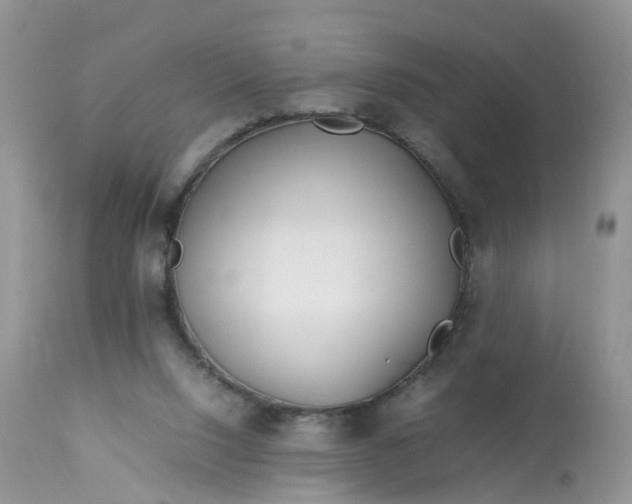 X0000113090064200909111037