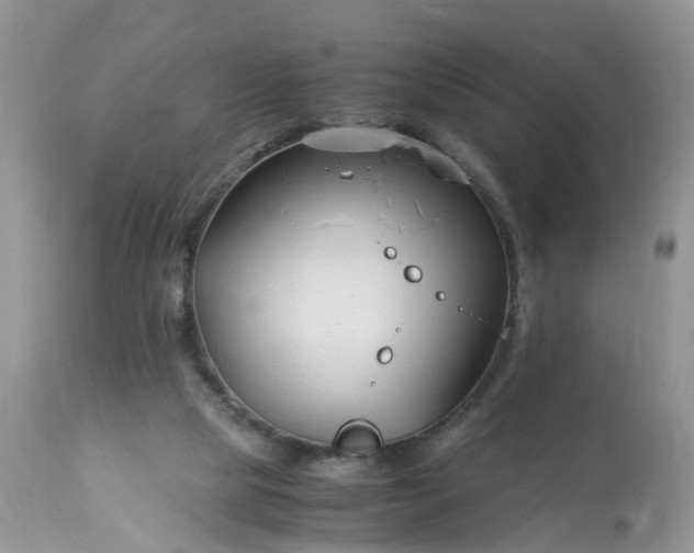X0000113090065200909111037