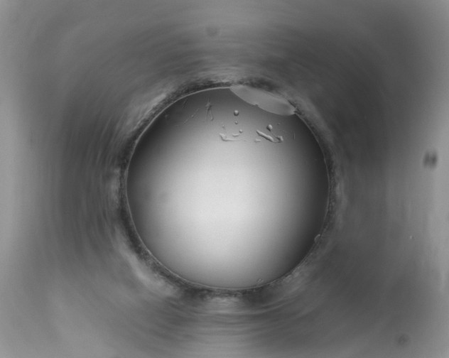 X0000113090066200909111037