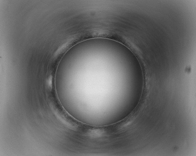 X0000113090067200909111037