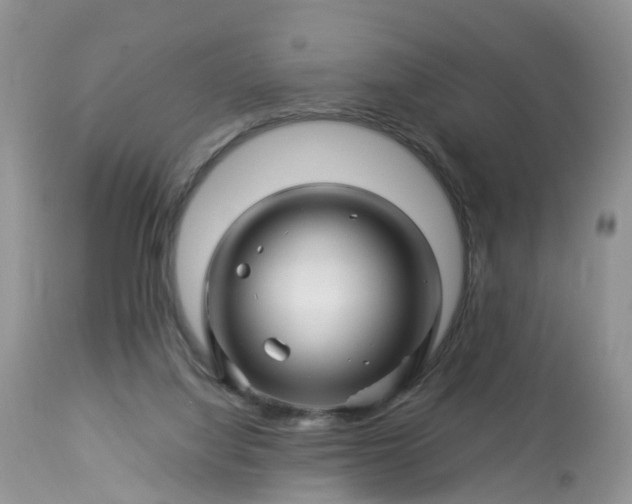 X0000113090068200909111037