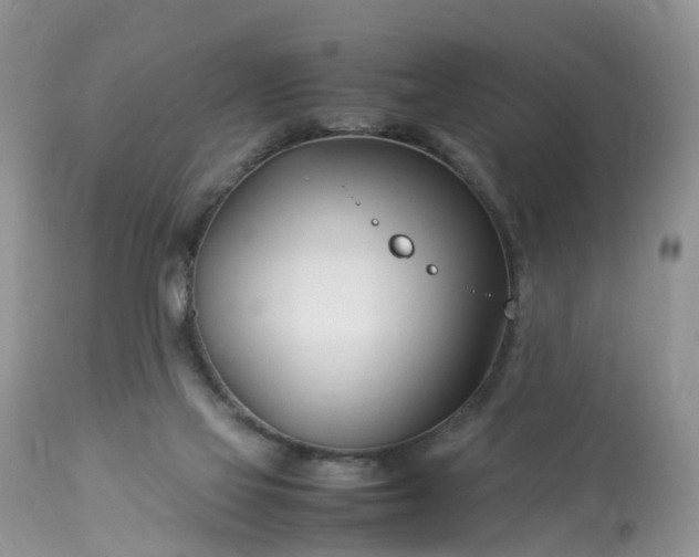 X0000113090069200909111037
