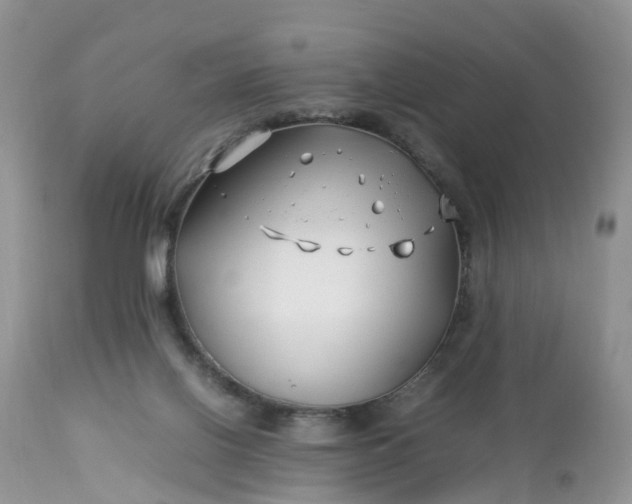 X0000113090070200909111037