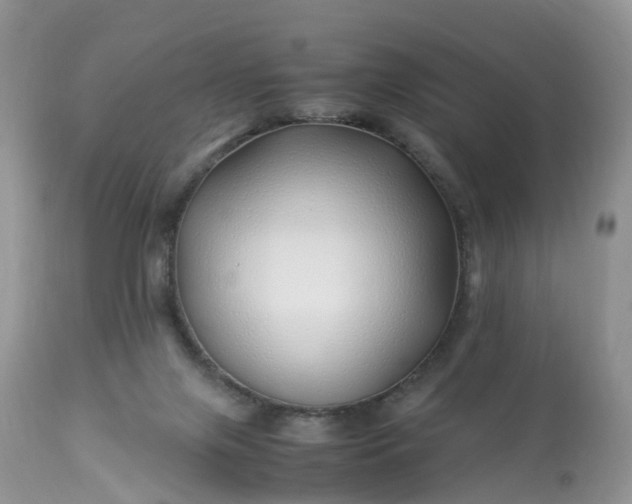 X0000113090071200909111037
