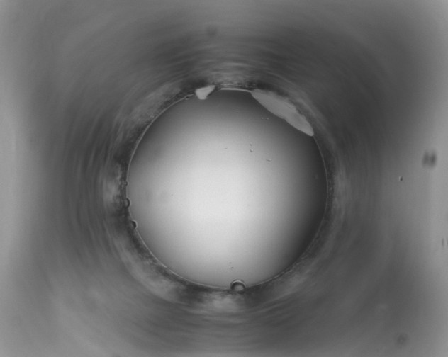 X0000113090073200909111037