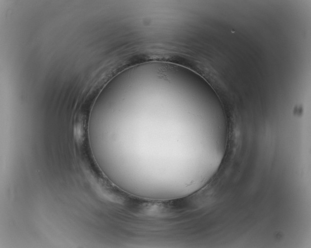 X0000113090074200909111037