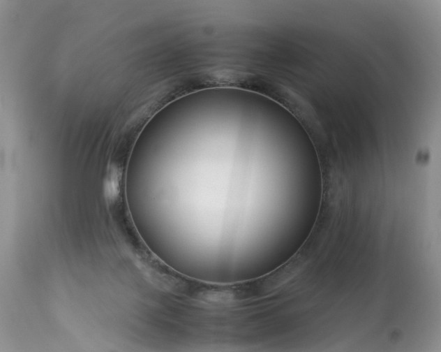 X0000113090075200909111037
