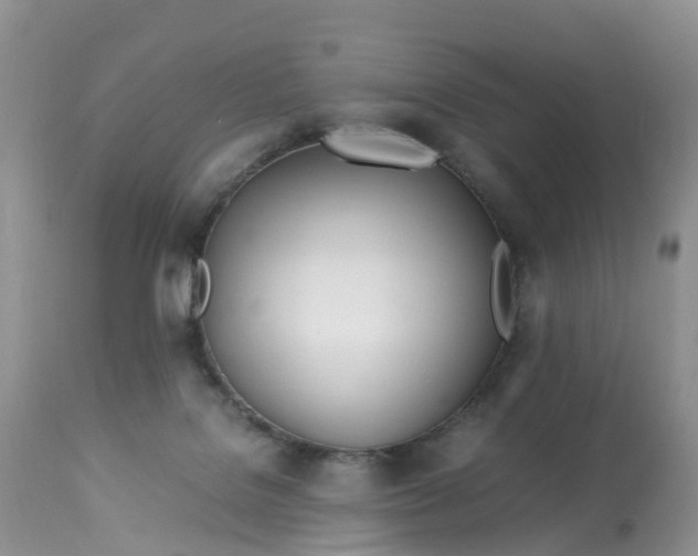 X0000113090076200909111037