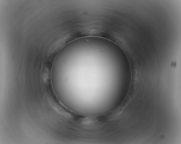 X0000113090077200909111037