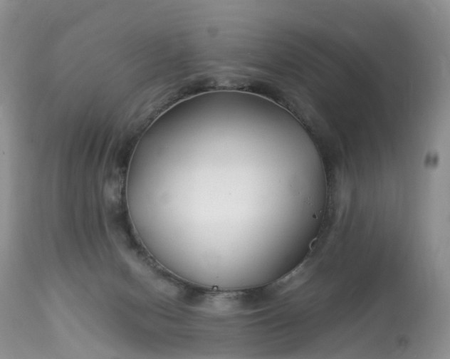 X0000113090078200909111037