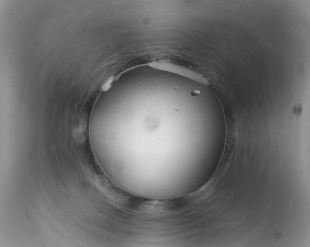 X0000113090082200909111037
