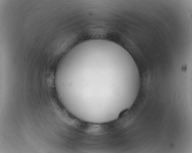 X0000113090083200909111037