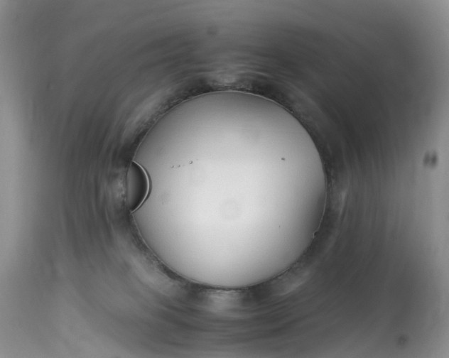 X0000113090085200909111037