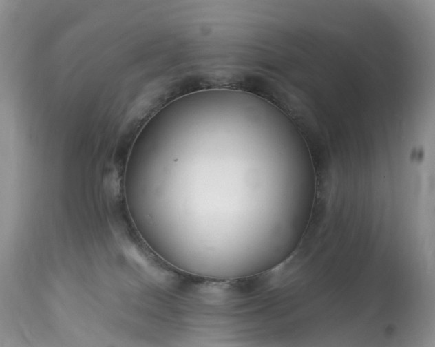 X0000113090086200909111037