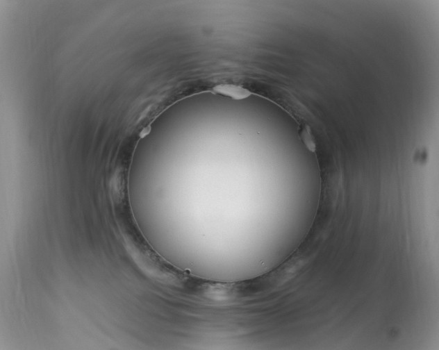 X0000113090088200909111037