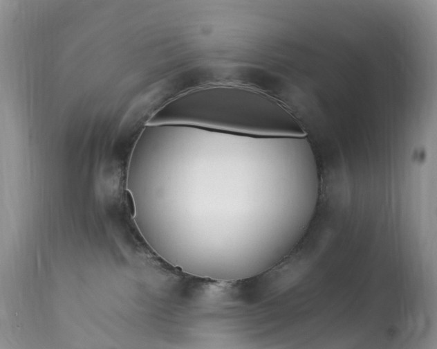 X0000113090092200909111037