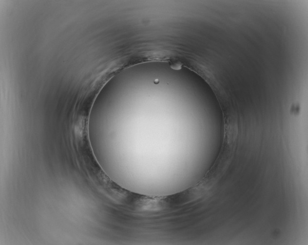 X0000113090093200909111037