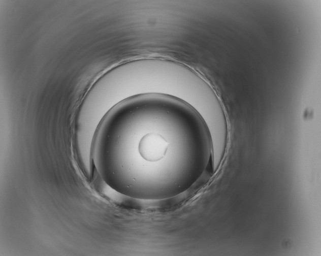 X0000113090097200909111037