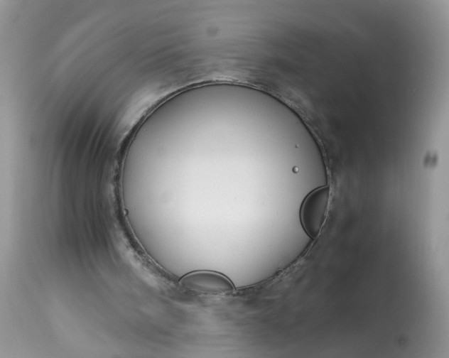 X0000113090098200909111037