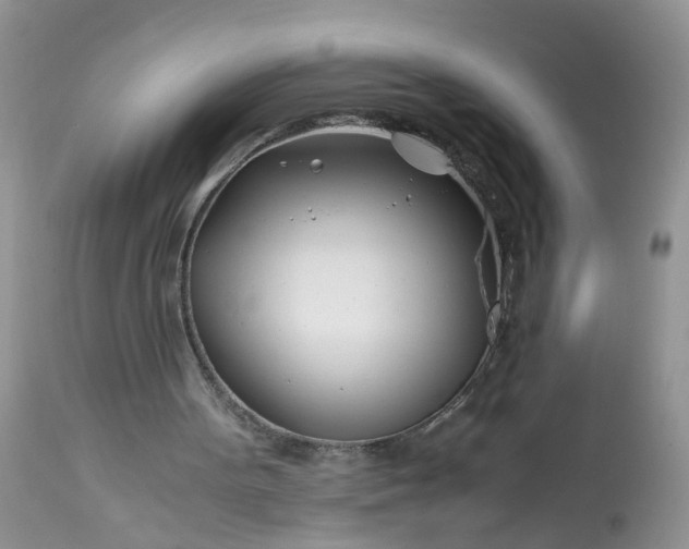 X0000113090099200909111037