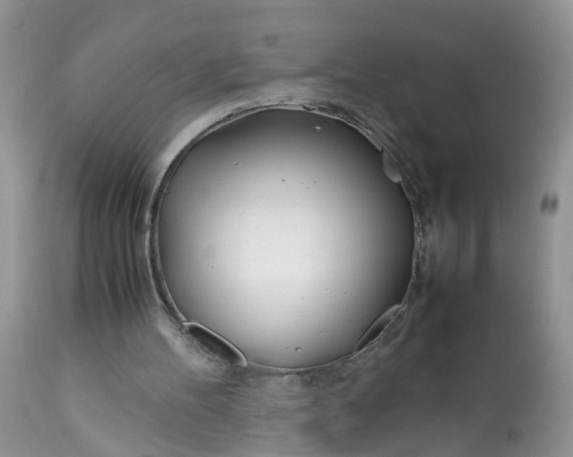 X0000113090100200909111037
