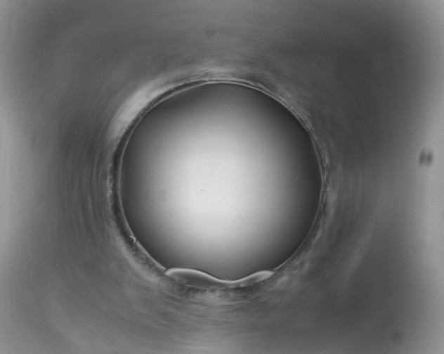 X0000113090103200909111037